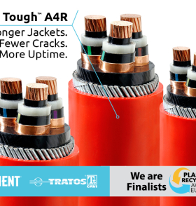 Finalist image