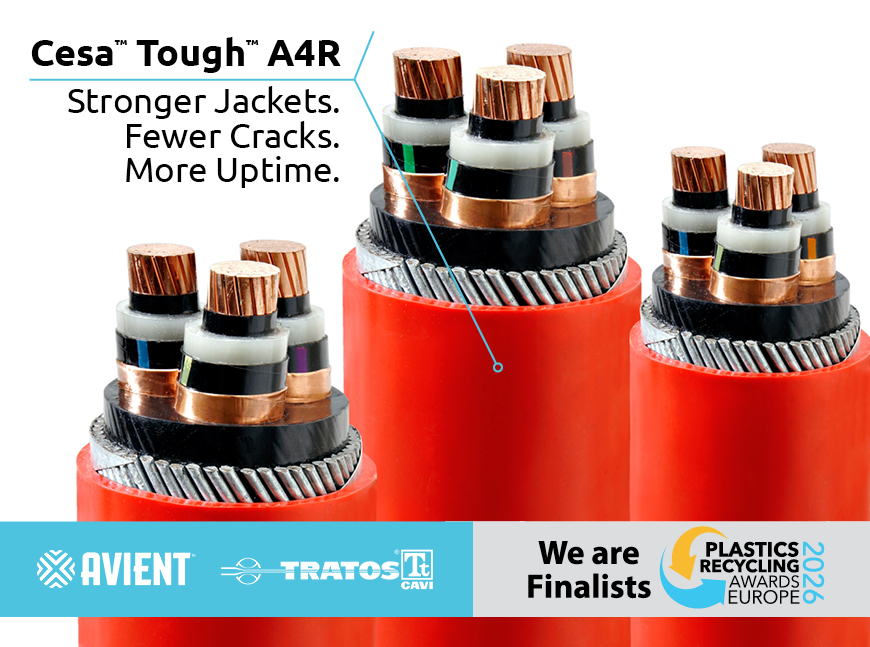 Finalist image